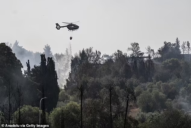 Chay rung lon nhat lich su, Israel ban bo tinh trang khan cap-Hinh-2