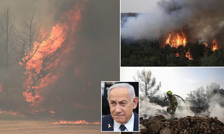 Chay rung lon nhat lich su, Israel ban bo tinh trang khan cap