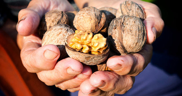 Quả óc chó giàu acid béo omega-3 giúp cải thiện sức khỏe tinh trùng.