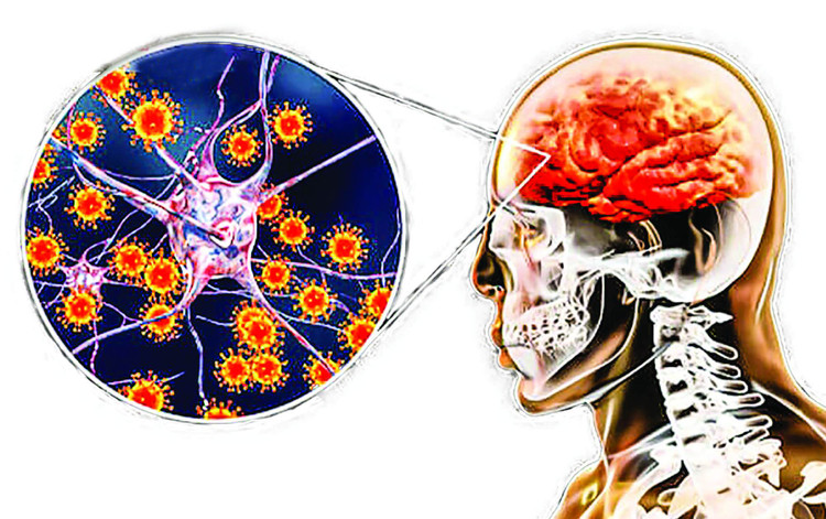 Ảnh minh họa: Sức khỏe và Đời sống.