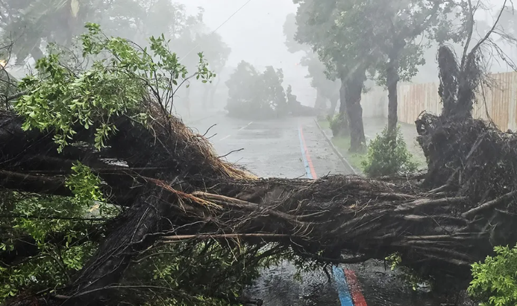 Cảnh tan hoang ở Đài Loan sau bão Krathon - Hình 2 Canh tan hoang o Dai Loan sau bao Krathon-Hinh-2