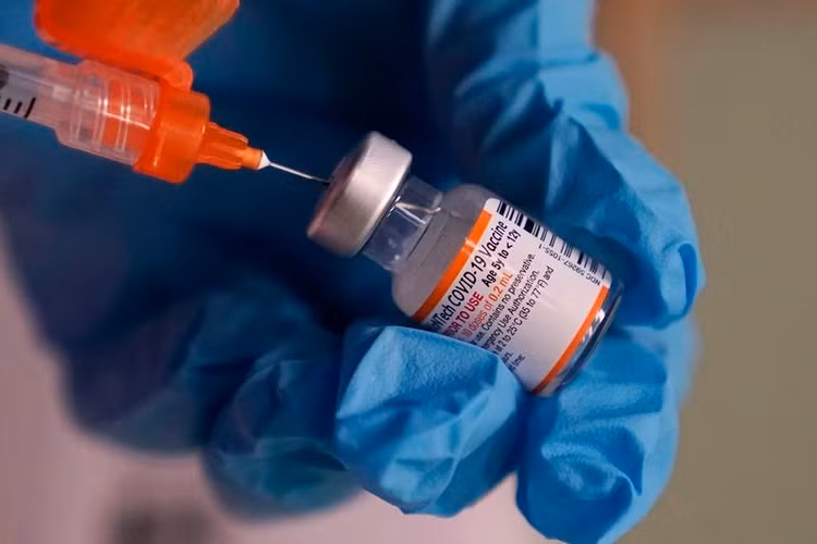 XBB và BQ.1.1 được coi là biến thể có khả năng né tránh miễn dịch tốt nhất từ trước đến nay. Ảnh: AP.