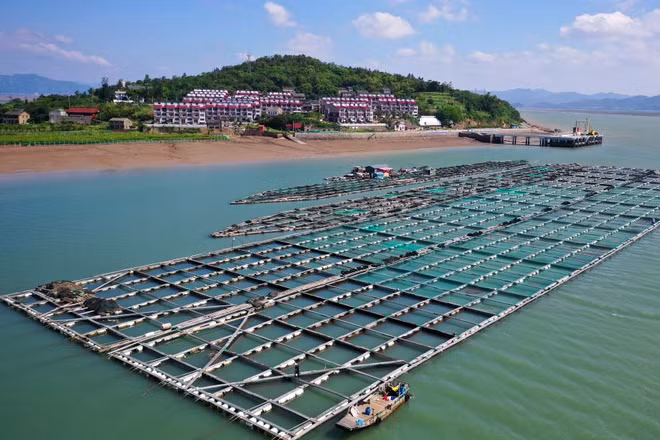 Các tỉnh miền Đông Trung Quốc chuẩn bị ứng phó với bão Dolphin
