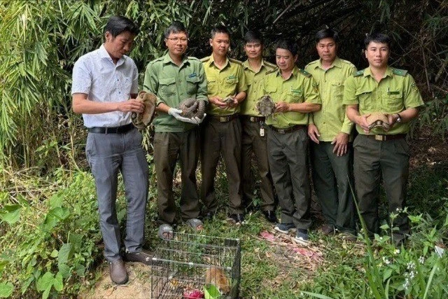 Nhiều động vật quý hiếm được thả về rừng Tây Nguyên