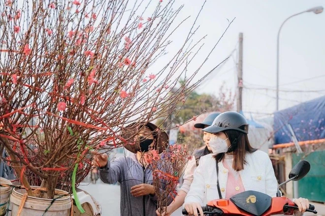 Thời tiết miền Bắc ngày cận Tết, nắng ấm trước khi chuyển mưa rét