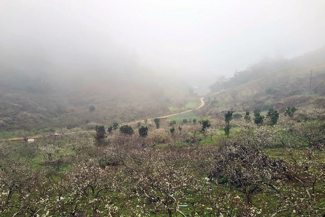 Dự báo thời tiết ngày 3/1/2026: Miền Bắc rét đậm