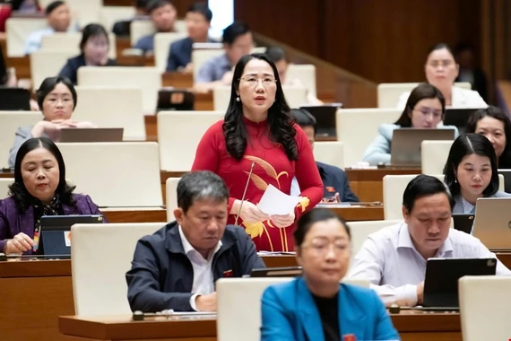 ĐBQH lo lắng về tội phạm công nghệ cao và lừa đảo trên mạng