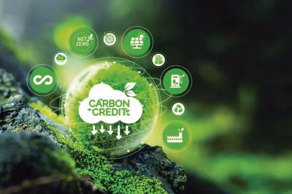 Kích hoạt thị trường carbon rừng: Mở “dòng tiền xanh” từ tài nguyên rừng