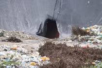 Khu xử lý chất thải Ngọc Hồi gặp sự cố, rác thải tràn ra môi trường