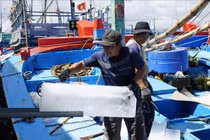 Ngư dân Gia Lai chuẩn bị ra khơi đón mùa cá ngừ đầu năm mới