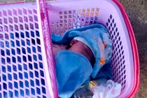 Phát hiện bé trai hơn 1 tháng tuổi trong làn nhựa kèm thư của mẹ tại Gia Lai