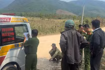 Đi kiểm tra rừng tại Gia Lai, 5 kiểm lâm bị ong đốt, 1 người tử vong