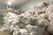 Bước đầu, lực lượng chức năng đề nghị cơ sở cung cấp các văn bản, tài liệu pháp lý có liên quan đến hoạt động kinh doanh của cơ sở, và các giấy tờ chứng minh nguồn gốc heo nhập vào để giết mổ. Ảnh B.L