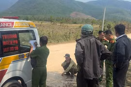 Đi kiểm tra rừng tại Gia Lai, 5 kiểm lâm bị ong đốt, 1 người tử vong