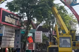 Tai nạn lao động tại Gia Lai khiến 1 người tử vong và 2 bị thương