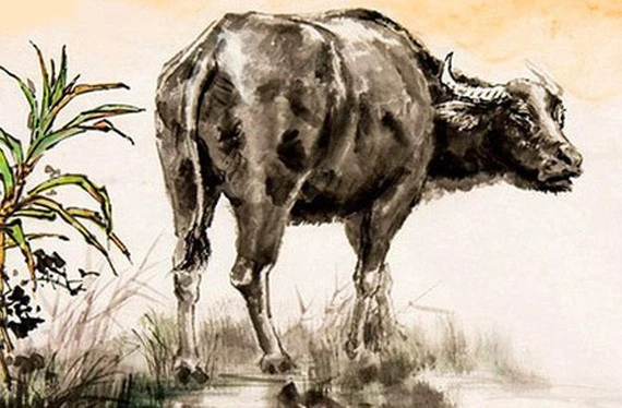 Dự đoán ngày mới 23/12/2025 cho 12 con giáp: Sửu thăng hoa