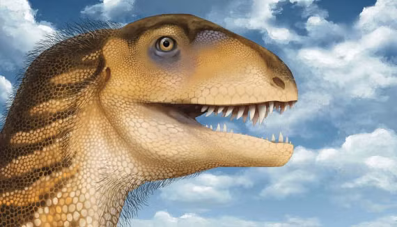 Hóa thạch hộp sọ hơn 200 triệu tuổi hé lộ loài mới thời Tam Điệp