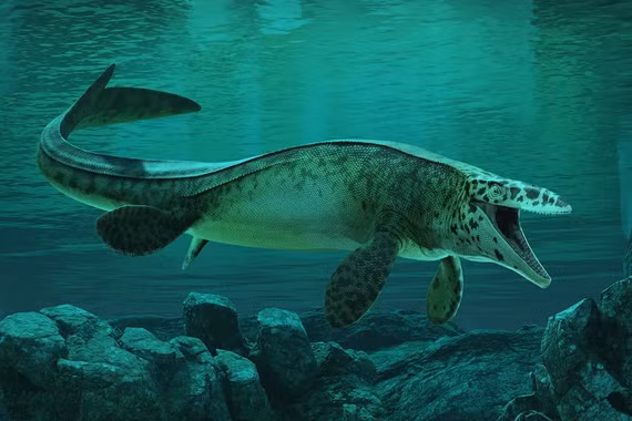 Phát hiện loài thủy quái mới Tylosaurus rex từng thống trị biển cả