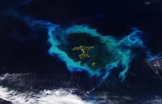 Ảnh vệ tinh hé lộ quầng sáng bí ẩn quanh quần đảo Chatham