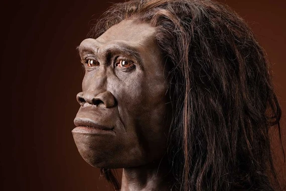 Phục dựng gương mặt Homo erectus 1,5 triệu tuổi hé lộ bí ẩn tiến hóa