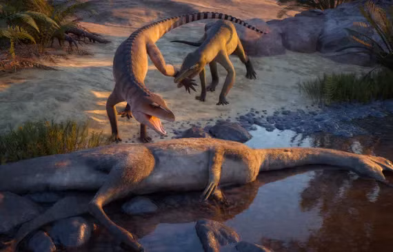 Phát hiện loài cá sấu mới từ hóa thạch 80 năm trong tầng hầm bảo tàng