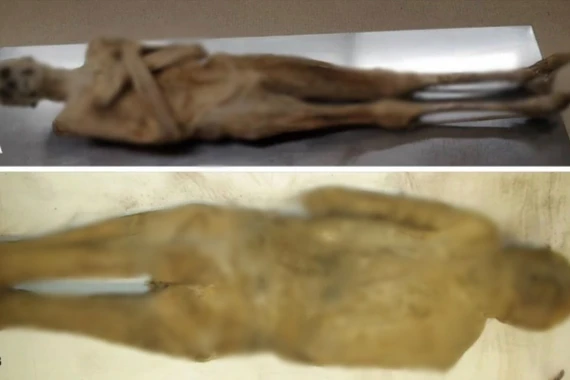 Giải mã thành công ba bí ẩn lịch sử đánh đố nhân loại hàng thế kỷ