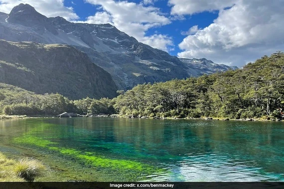 Khám phá hồ trong xanh nhất thế giới tại Nelson Lakes