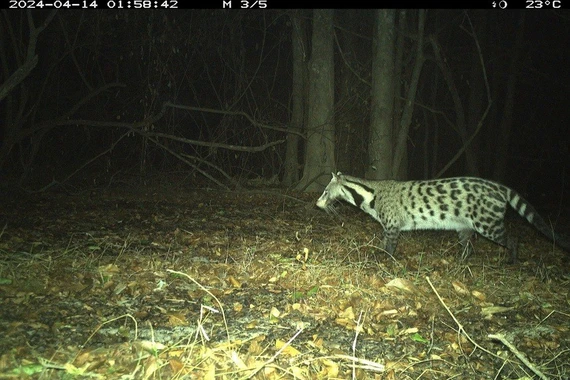 Khám phá cuộc khảo sát lớn nhất về động vật hoang dã tại Việt Nam