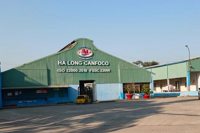 Hơn 120 tấn lợn bệnh, HaLong Canfoco nói không đưa vào sản xuất, cung ứng