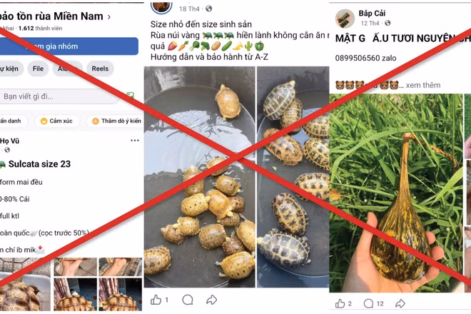 Tràn lan "chợ đen" thú rừng trên mạng
