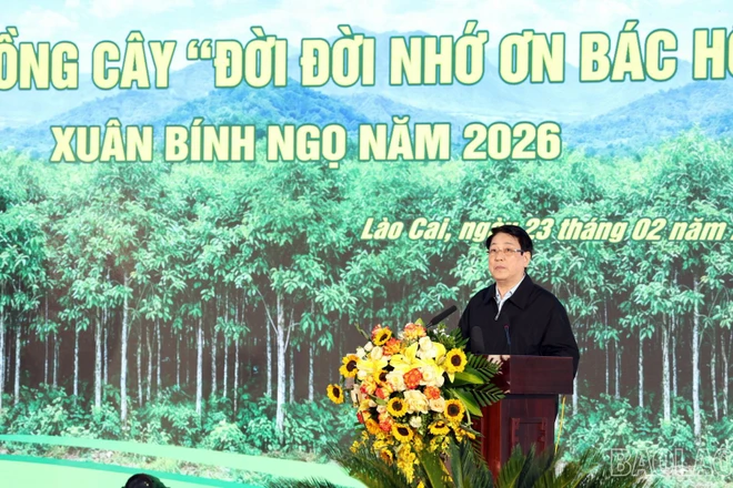 Chủ tịch nước dự lễ phát động Tết trồng cây 2026 tại Lào Cai