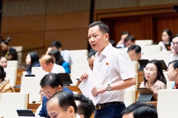 Lý do ĐBQH đề xuất đưa kim cương vào danh mục kinh doanh có điều kiện