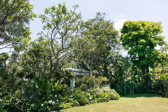 Ngôi nhà giữa rừng cây của NTK Đỗ Mạnh Cường 