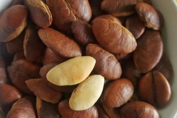 Loại hạt xưa 'cứu đói" nay hút khách dịp Tết