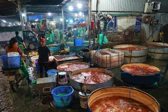 Chợ cá Yên Sở tấp nập mua bán cá chép đỏ trước Tết ông Công ông Táo