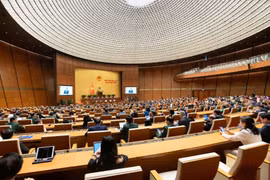 Các Đoàn đại biểu Quốc hội họp bầu Trưởng Đoàn, Phó Trưởng Đoàn