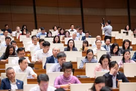 Cơ quan, địa phương nào được thí điểm Luật sư công?