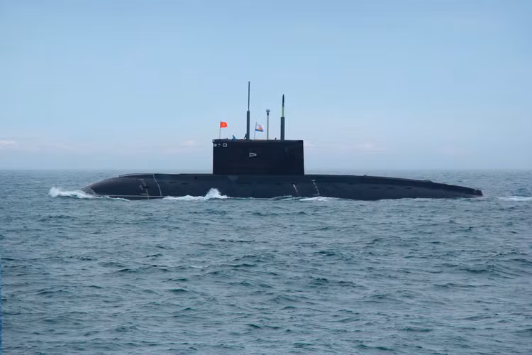 Sự kiện diễu binh trên biển sẽ có sự tham gia của tàu ngầm Kilo 636, lực lượng tàu mặt nước, lực lượng Không quân Hải quân và các đơn vị chuyên trách khác.