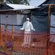 Dịch Ebola chủng Bundibugyo gây quan ngại quốc tế, Bộ Y tế cảnh báo