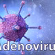 Virus Adenovirus gia tăng, đe dọa sức khỏe trẻ em mùa giao mùa