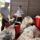 Phát hiện và xử lý hàng nhập lậu tại Lạng Sơn