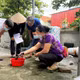 Hà Nội tăng cường phòng chống sốt xuất huyết trong mùa mưa