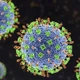 Dinh dưỡng hợp lý giúp nâng cao đề kháng phòng virus Nipah