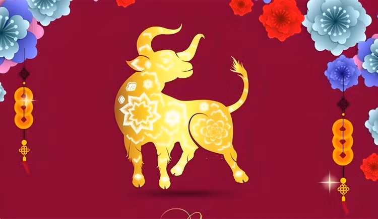 7 ngày tới, 4 tuổi tiền tiêu thả ga, 1 tuổi họa tìm đến - Hình 5 7 ngay toi, 4 tuoi tien tieu tha ga, 1 tuoi hoa tim den-Hinh-5