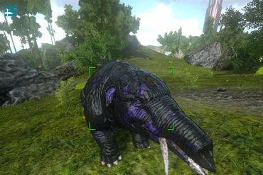 Bất ngờ với hình dáng loài voi cổ đại gần 40 triệu năm trước