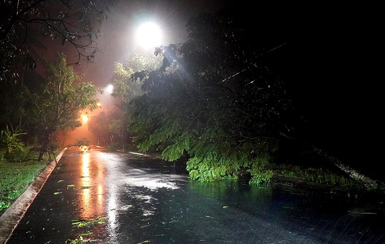  Lê Phước Ngọc/TTXVN