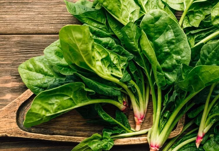 12 loại rau củ Harvard khuyên dùng để nâng cao sức khỏe trẻ nhỏ