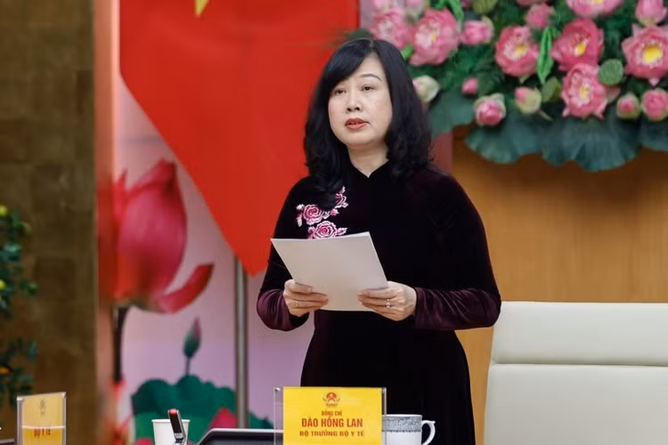 Bộ trưởng Bộ Y tế Đào Hồng Lan phát biểu tại cuộc gặp mặt - Ảnh: VGP/Nhật Bắc