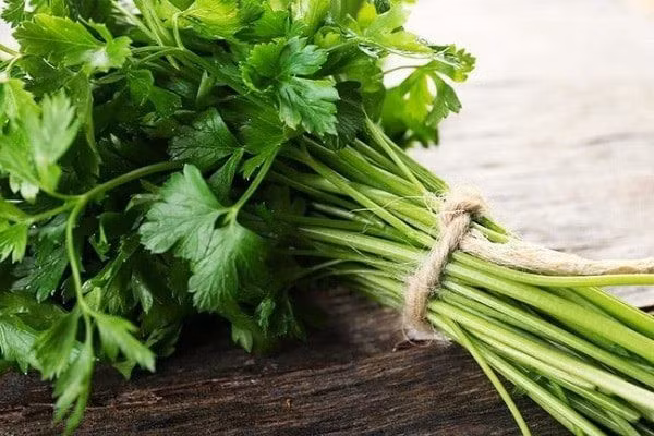 Lợi ích sức khỏe đáng ngạc nhiên của rau mùi