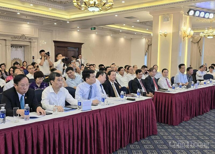 Các đại biểu tham dự hội nghị